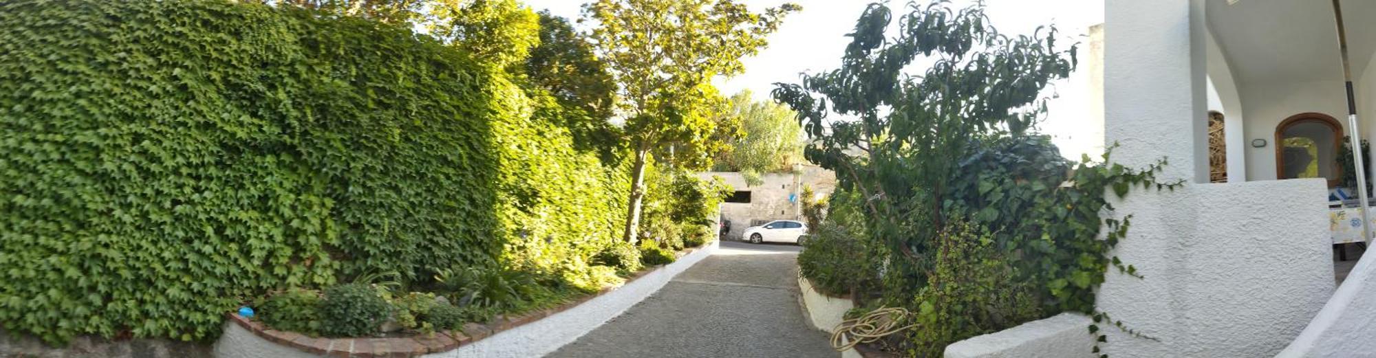 Villa Thomas Bb Conduzione Familiare Forio di Ischia Eksteriør billede